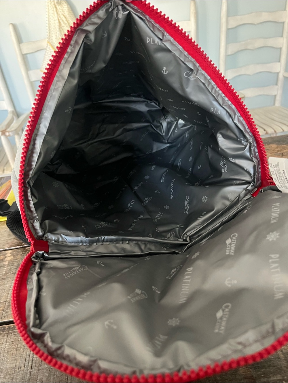 Disney Cruise Line Gray Cooler Pouch with Red Zipper - Picture 8 of 13
